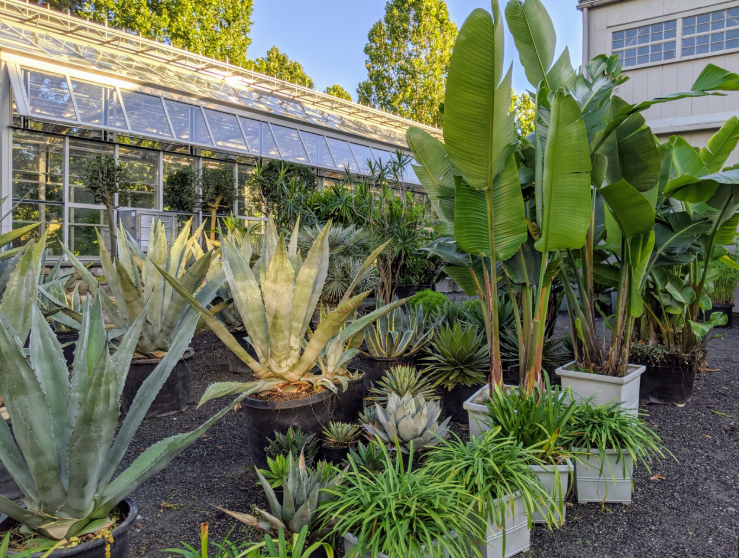Seasonal Produce Gallery 1